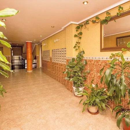 Apartamento Felix De La Fuente Torrevieja Exterior photo