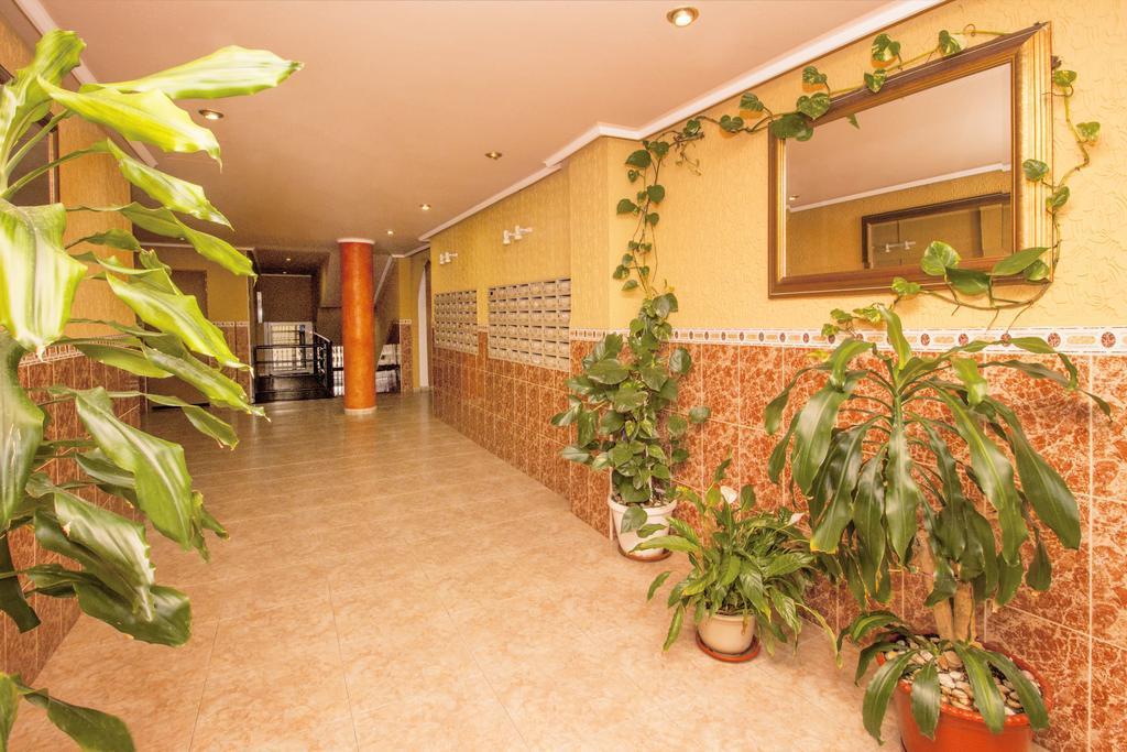 Appartement Apartamento- Félix De Fuente *