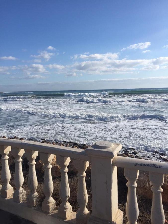 Felix De La Fuente Torrevieja